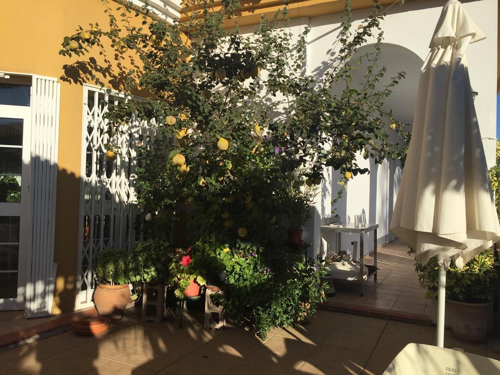 Hotel Arco Del Sol Colmenar Exterior photo